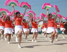 -广场舞规范指南发布，明确音量时间限制的简单介绍