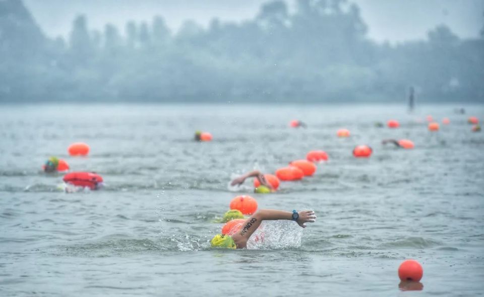 -铁人三项世锦赛极端天气致多人退赛，赛制引争议的简单介绍
